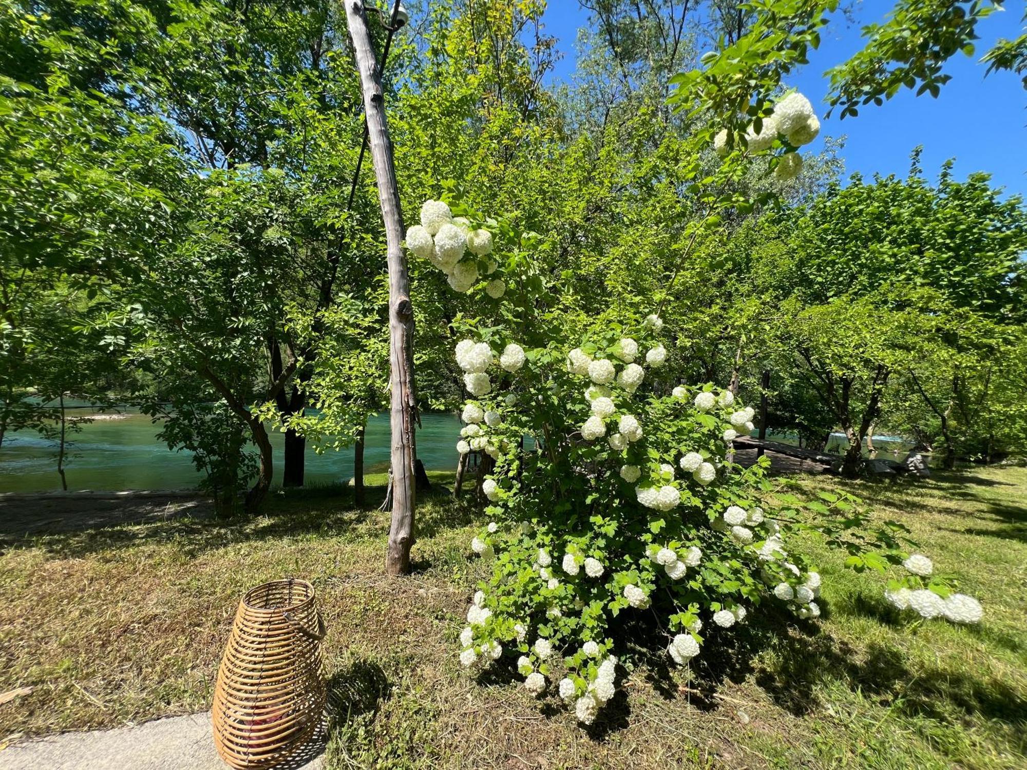 Anur Apartment Bihać Екстериор снимка