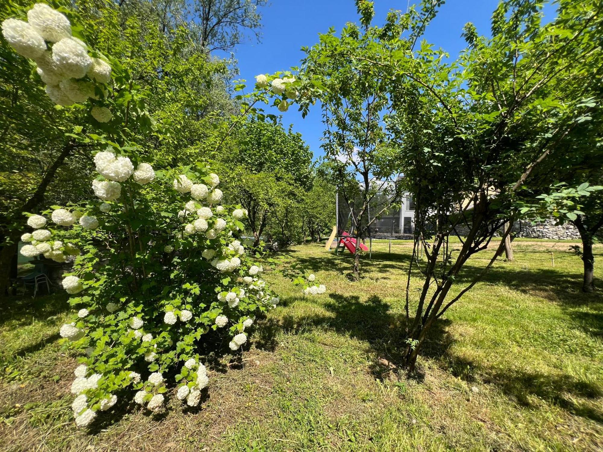 Anur Apartment Bihać Екстериор снимка